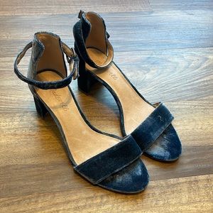 Madewell Blue Velvet Heels